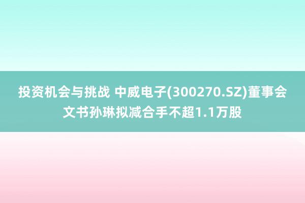 投资机会与挑战 中威电子(300270.SZ)董事会文书孙琳拟减合手不超1.1万股