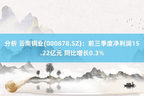 分析 云南铜业(000878.SZ)：前三季度净利润15.22亿元 同比增长0.3%