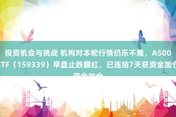 投资机会与挑战 机构对本轮行情仍乐不雅，A500ETF（159339）早盘止跌翻红，已连结7天获资金加仓