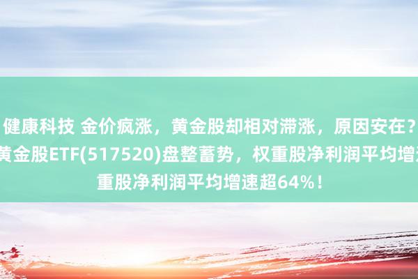 健康科技 金价疯涨，黄金股却相对滞涨，原因安在？行业最大黄金股ETF(517520)盘整蓄势，权重股净利润平均增速超64%！