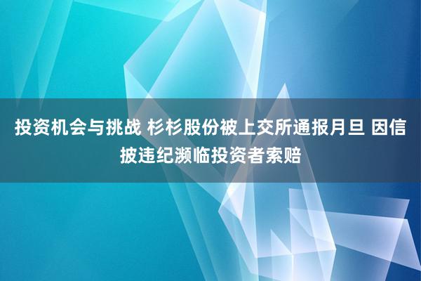 投资机会与挑战 杉杉股份被上交所通报月旦 因信披违纪濒临投资者索赔