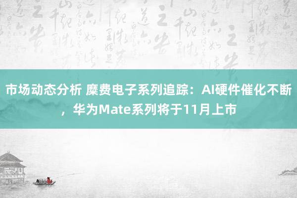 市场动态分析 糜费电子系列追踪：AI硬件催化不断，华为Mate系列将于11月上市