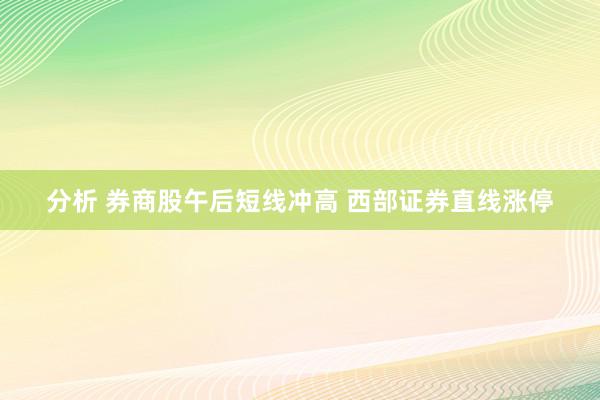 分析 券商股午后短线冲高 西部证券直线涨停