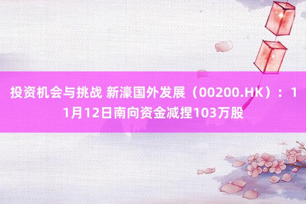 投资机会与挑战 新濠国外发展（00200.HK）：11月12日南向资金减捏103万股