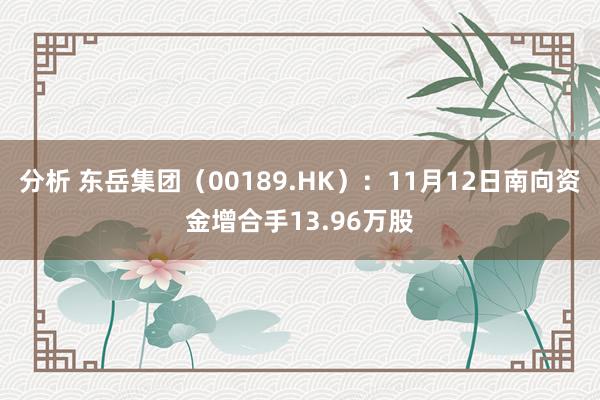 分析 东岳集团（00189.HK）：11月12日南向资金增合手13.96万股