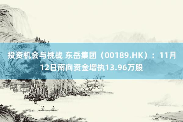 投资机会与挑战 东岳集团（00189.HK）：11月12日南向资金增执13.96万股