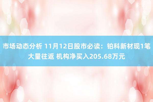 市场动态分析 11月12日股市必读：铂科新材现1笔大量往返 机构净买入205.68万元