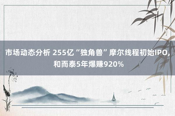 市场动态分析 255亿“独角兽”摩尔线程初始IPO, 和而泰5年爆赚920%