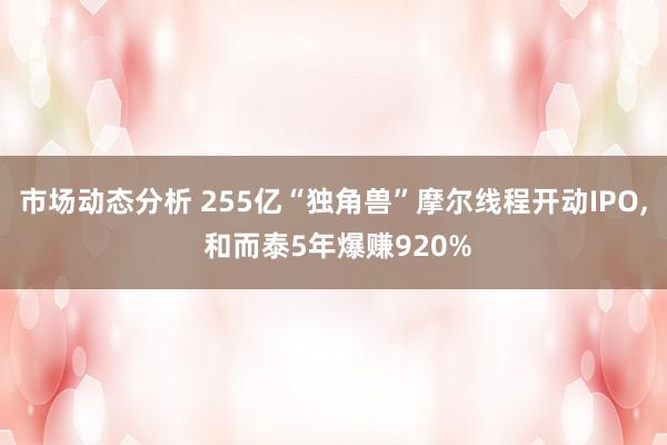 市场动态分析 255亿“独角兽”摩尔线程开动IPO, 和而泰5年爆赚920%