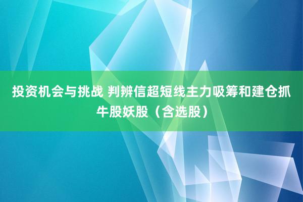 投资机会与挑战 判辨信超短线主力吸筹和建仓抓牛股妖股（含选股）