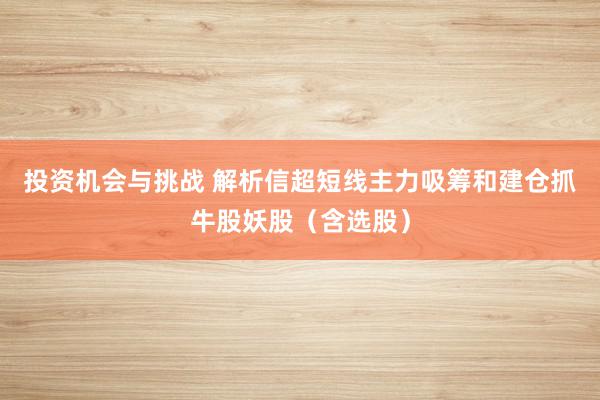 投资机会与挑战 解析信超短线主力吸筹和建仓抓牛股妖股（含选股）