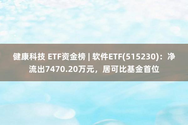 健康科技 ETF资金榜 | 软件ETF(515230)：净流出7470.20万元，居可比基金首位