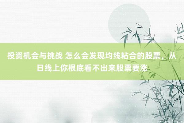 投资机会与挑战 怎么会发现均线粘合的股票，从日线上你根底看不出来股票要涨